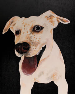 Dog Image for Paint Your Pet's Portrait