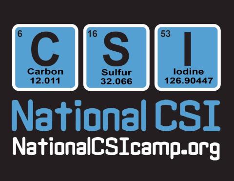 National CSI Camp logo