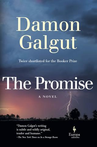 The Promise Book Cover