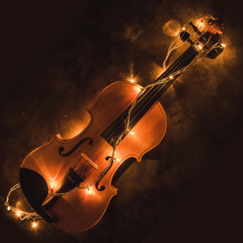 violin with small white holiday string lights