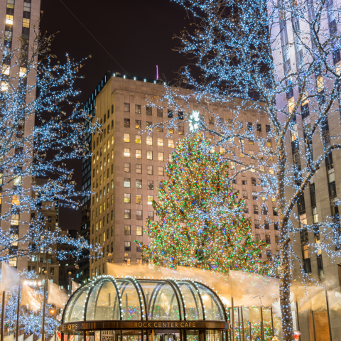 Rockefeller Center Christmas Tree NYC