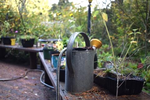 A watering can in a garden