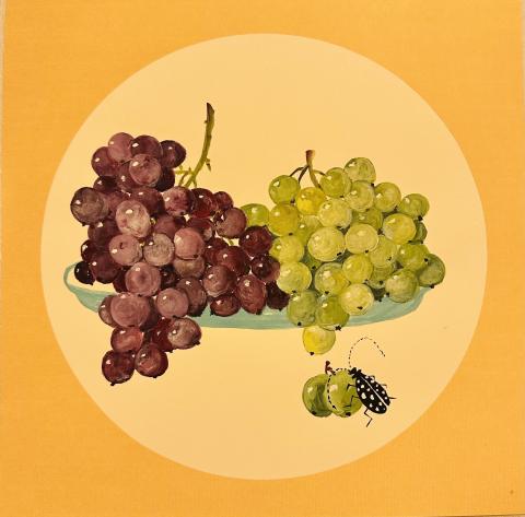 Nancy Hung Print of green and red grapes