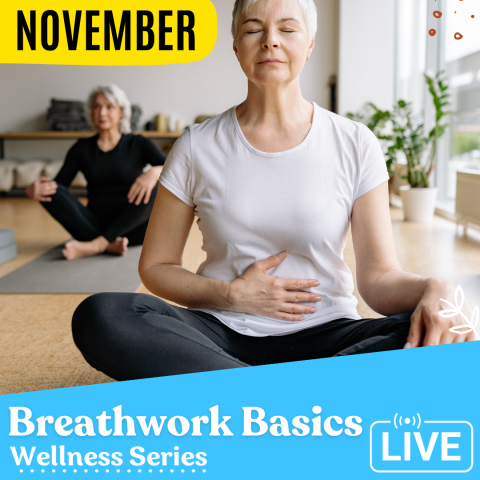 Women meditating on yoga mats