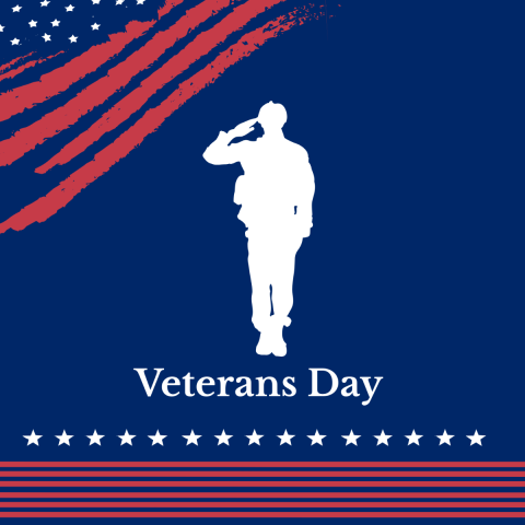 Veteran's Day graphic