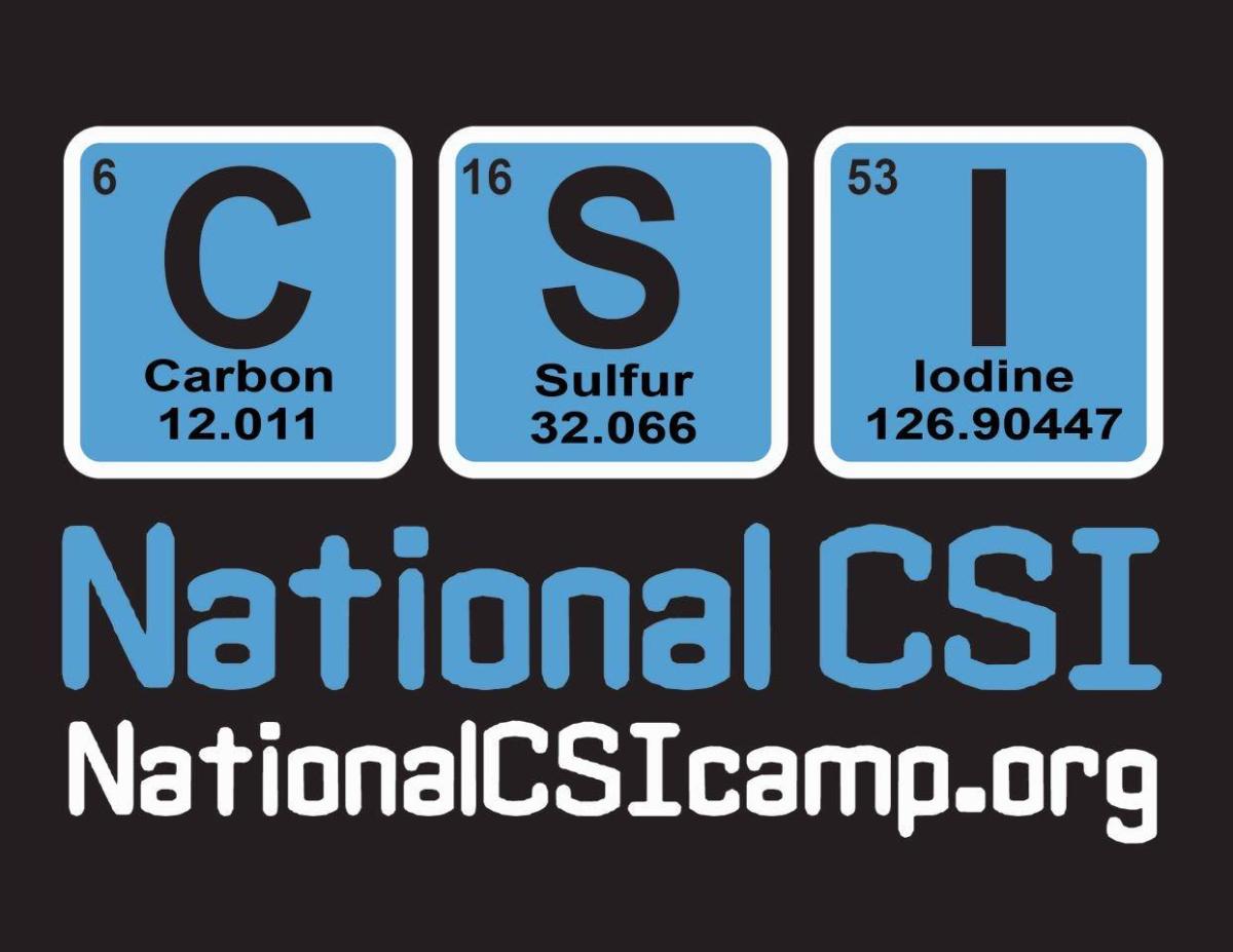 National CSI Camp logo