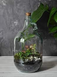 Terrarium