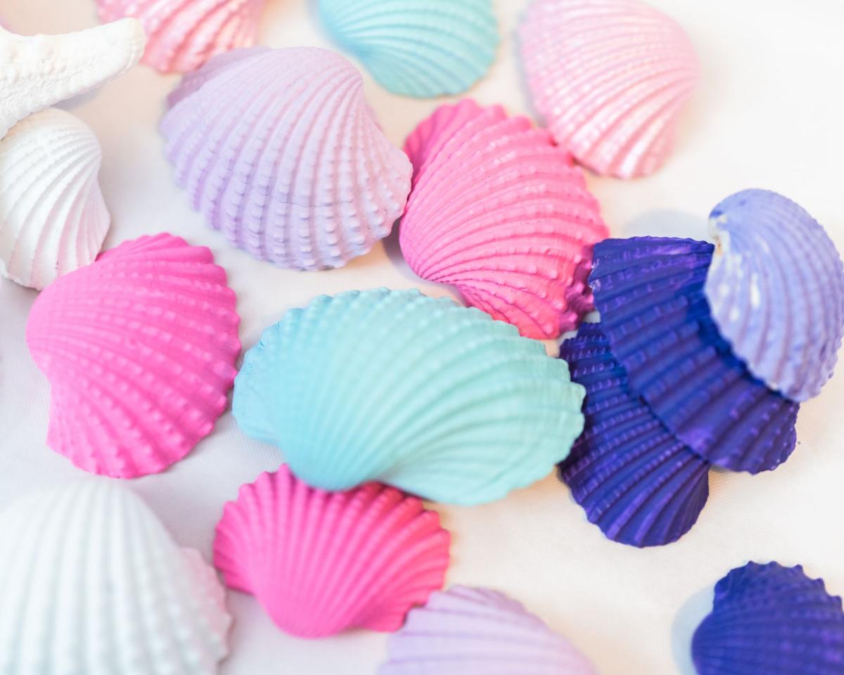 painted seashell