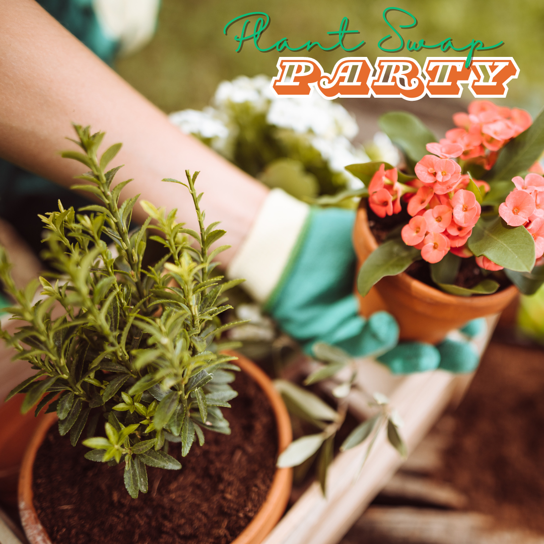 Person holding two types of plants