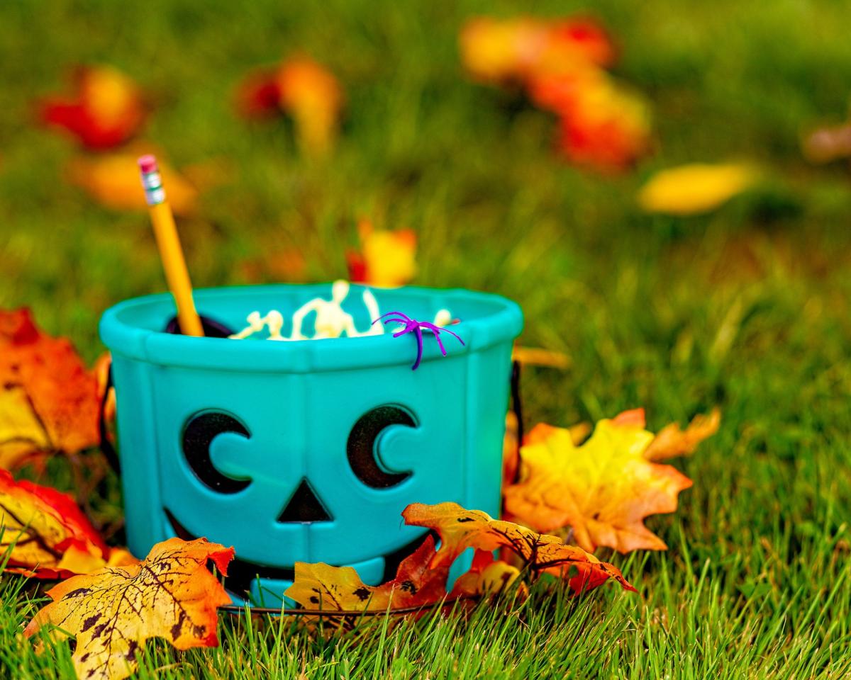 teal pumpkin on grass surrounded by fall leaves