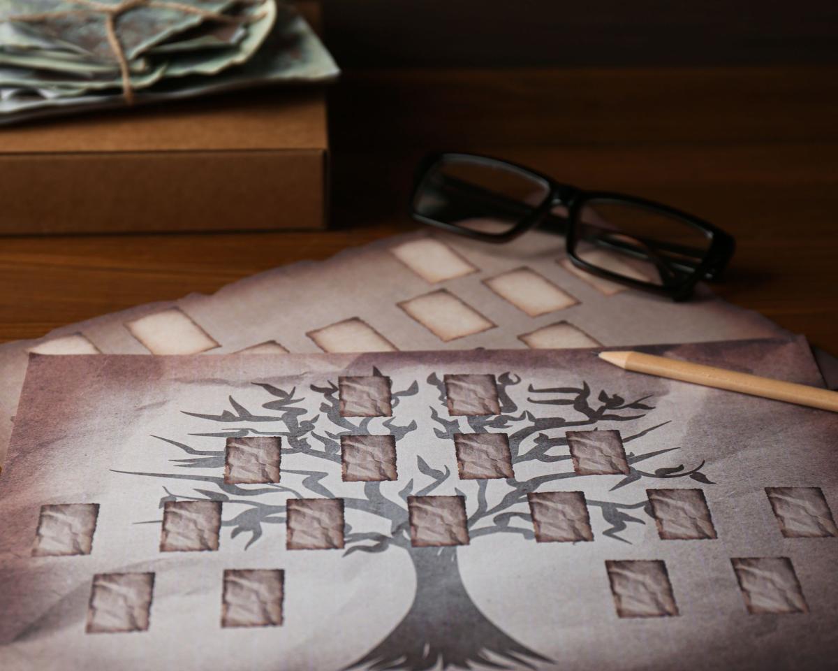 genealogy family tree