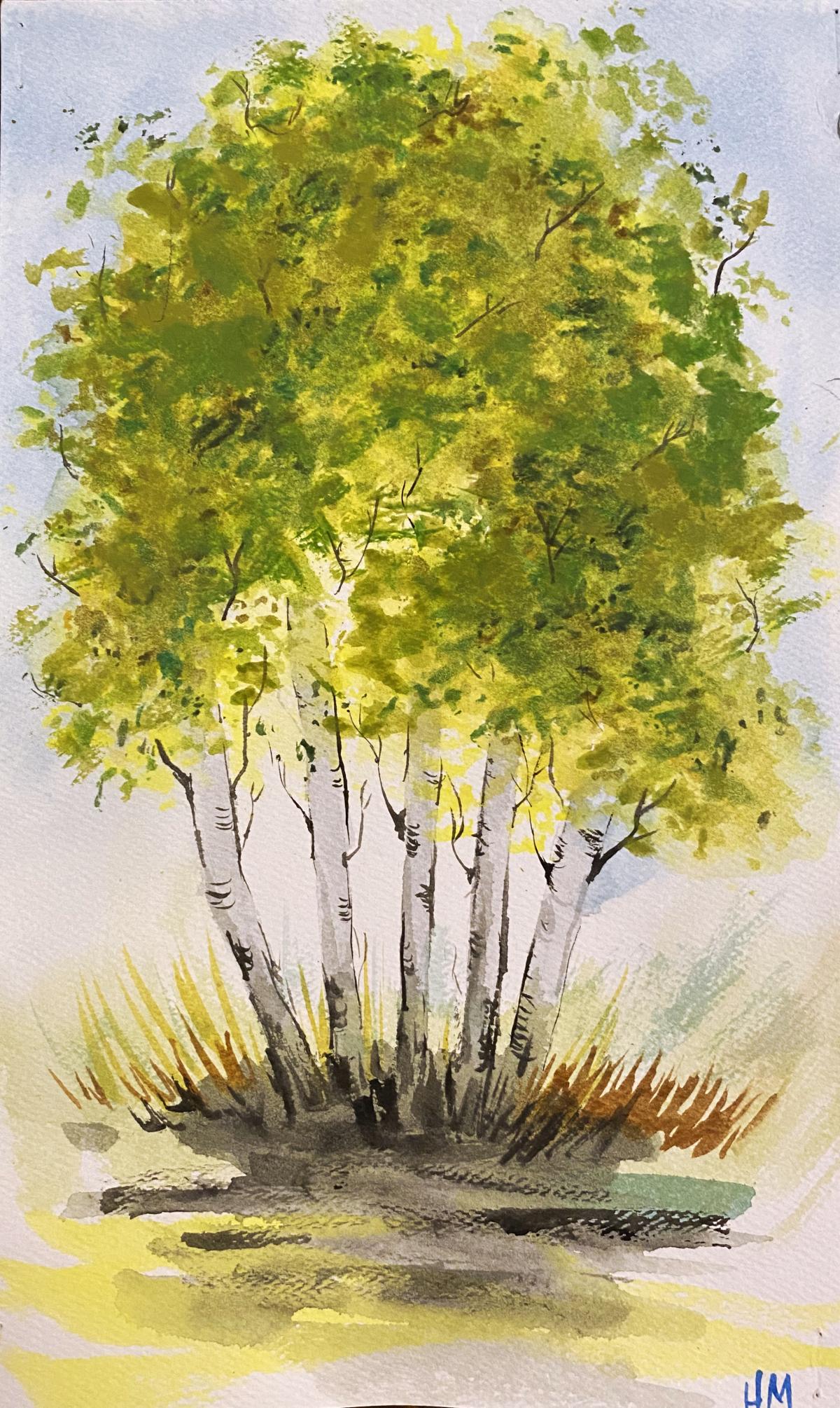 Birch Tree Watercolor by Harmony Merves
