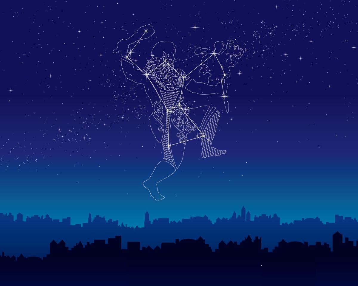 image of the night sky and constellation Orion