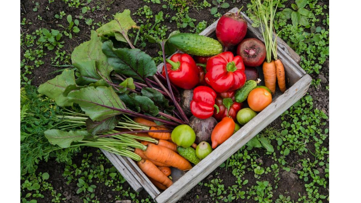 Vegetables in a basket